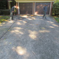 Before Photos