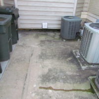 Before Photos