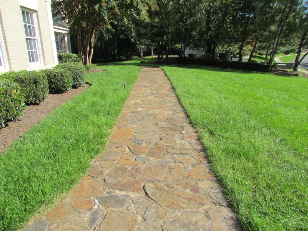 pressure washing path leesburg after